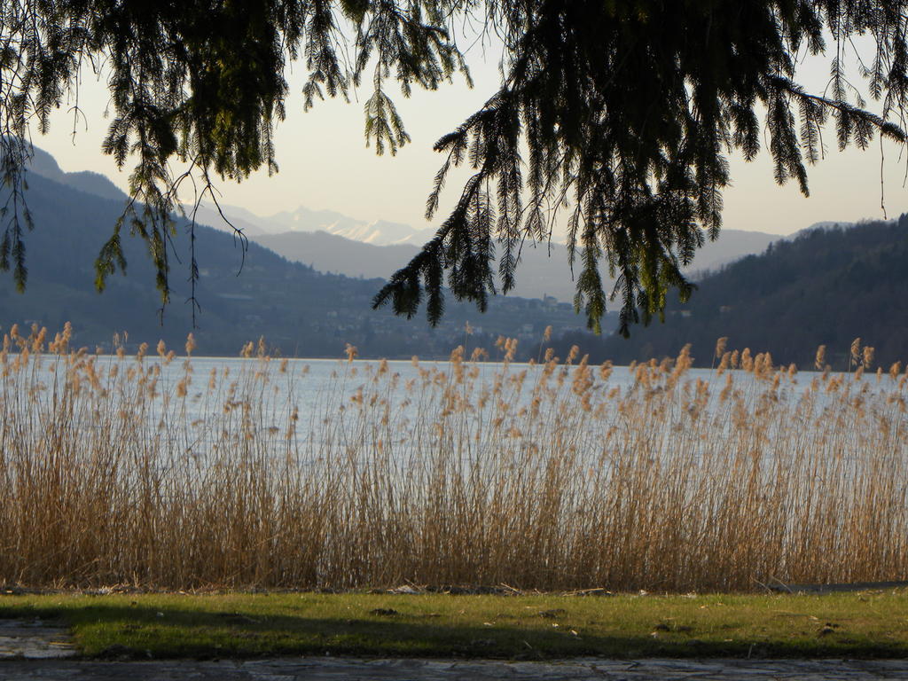 Casa De Val Lejlighed Calceranica al Lago Eksteriør billede