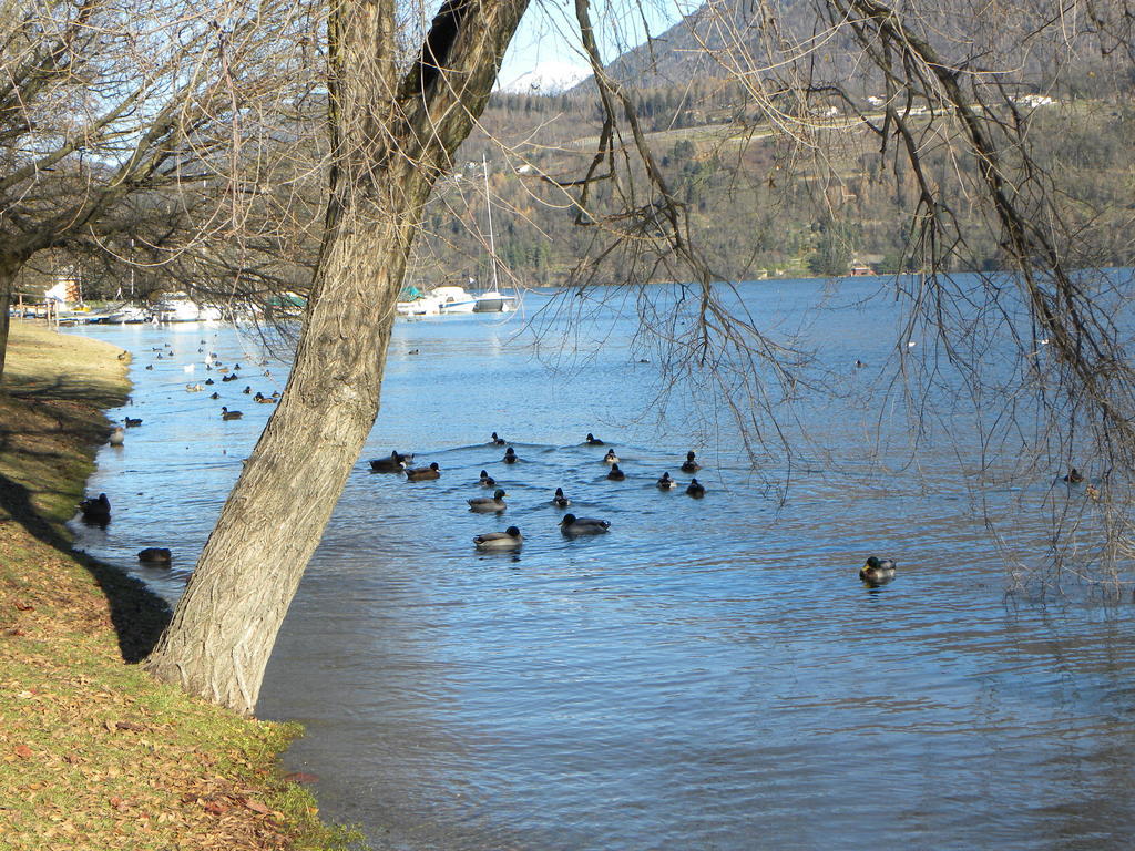 Casa De Val Lejlighed Calceranica al Lago Eksteriør billede